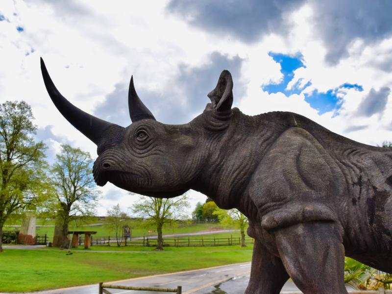 West Midland Safari Park
