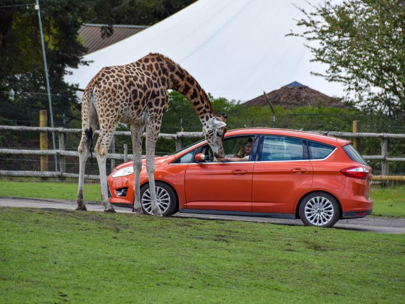 West Midland Safari Park
