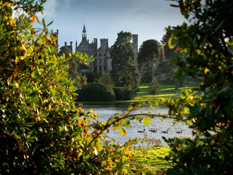 Alton Towers 2021 The Ultimate Summer of fun