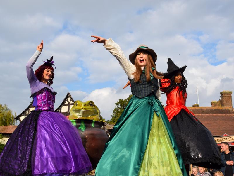 The Wild Witches