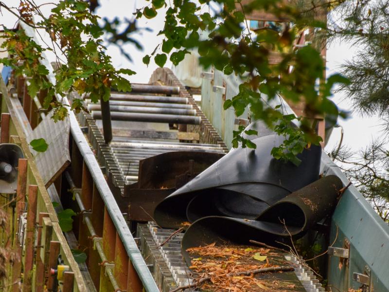 Loggers Leap Removal Begins?