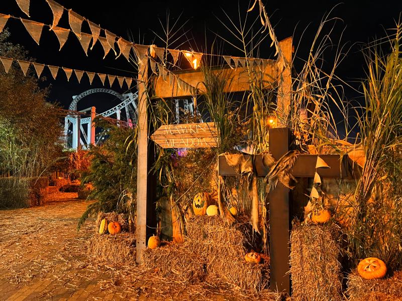 The Crows of Mawkin Meadow