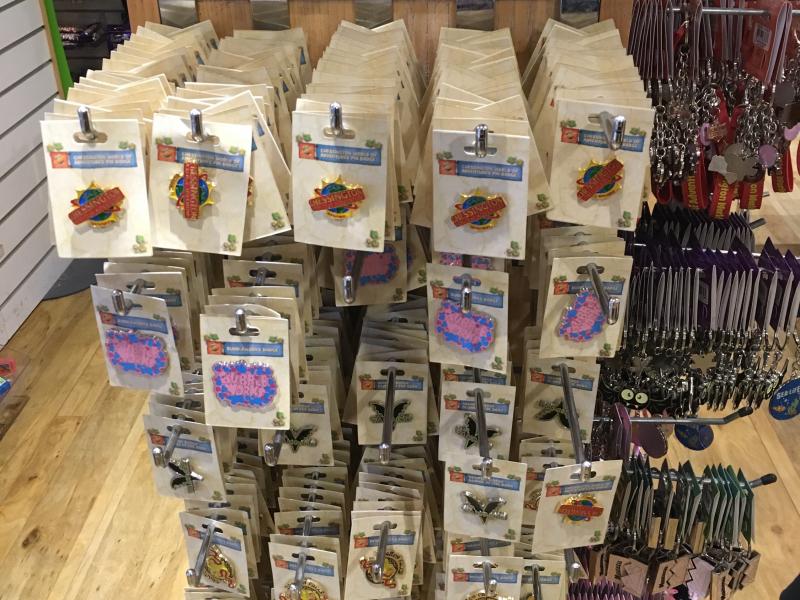 Chessington Ride Pin Badges