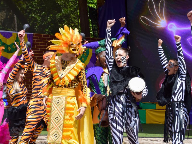 Carnival Spectacle