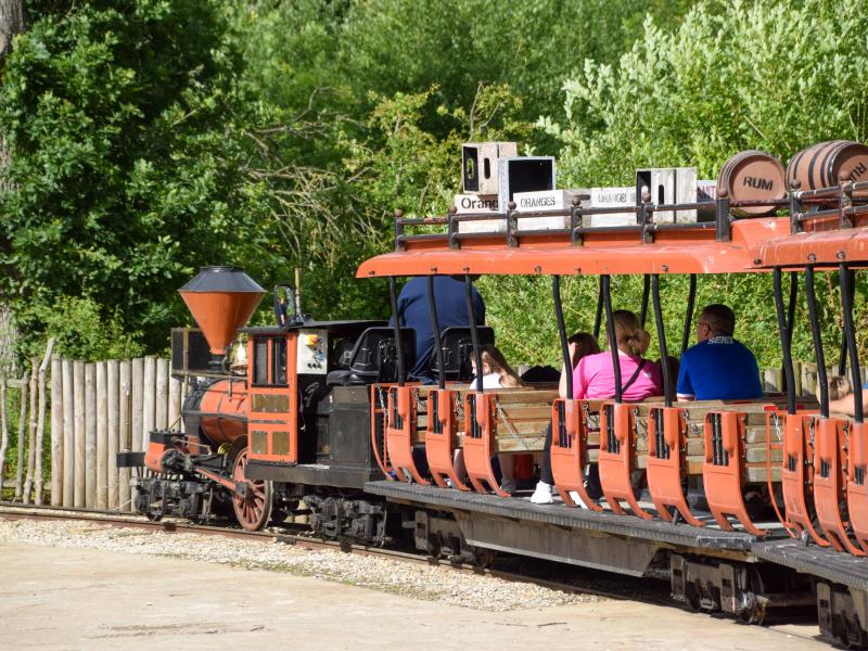Daktari Express