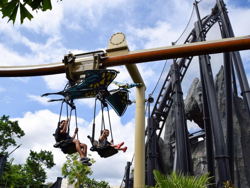 Pteranodon Flyers