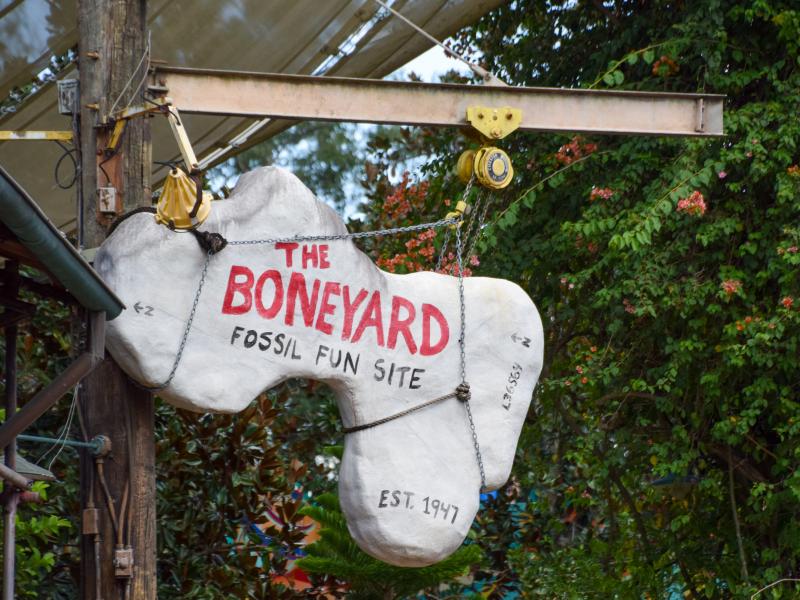 The Boneyard