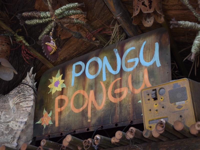 Pongu Pongu