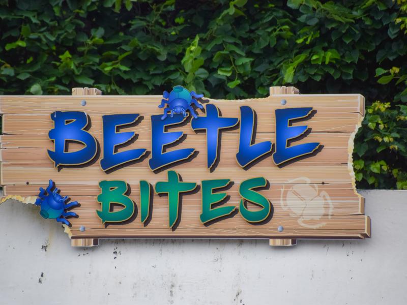 Beetle Bites
