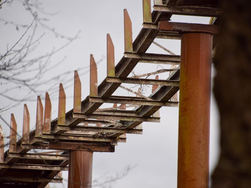 Loggers Leap Double-Down Drop Removal Begins