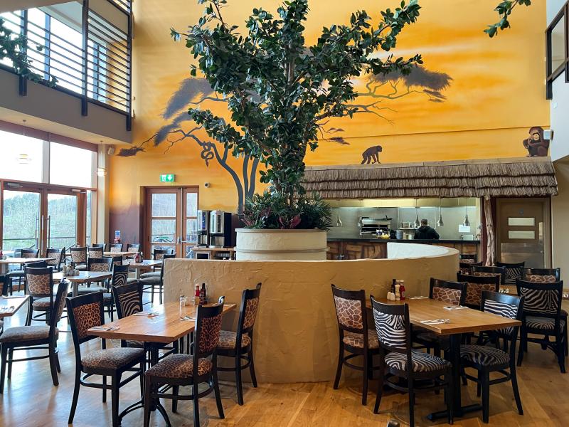 Zafari Bar & Grill