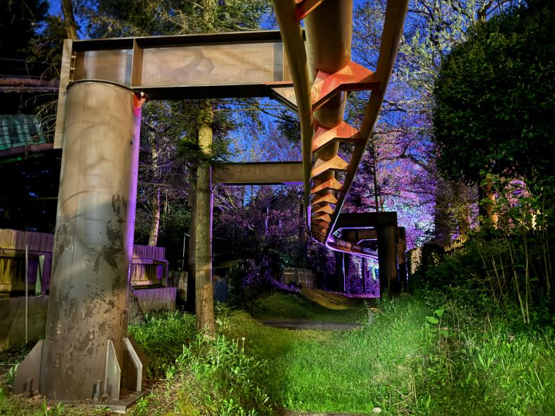 Chessington Vampire VIP Experience