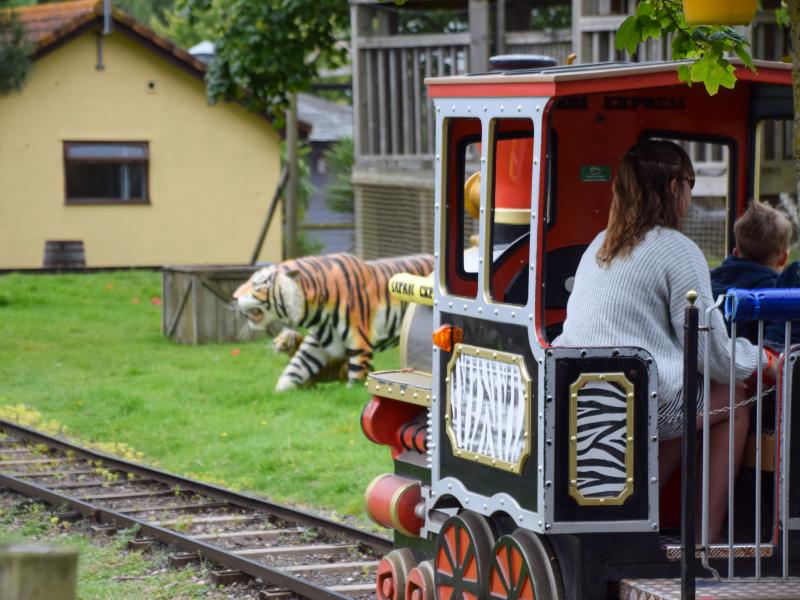 Safari Express