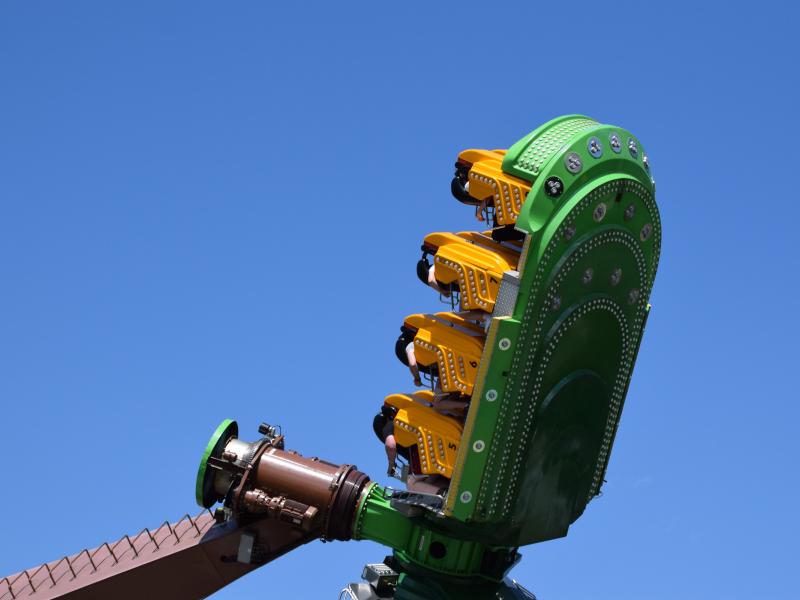 Soaring Timbers
