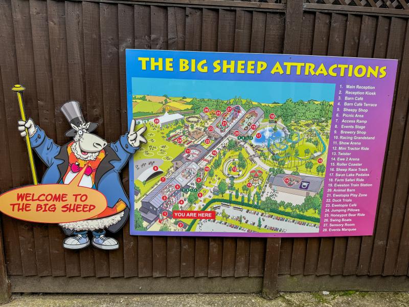 The Big Sheep