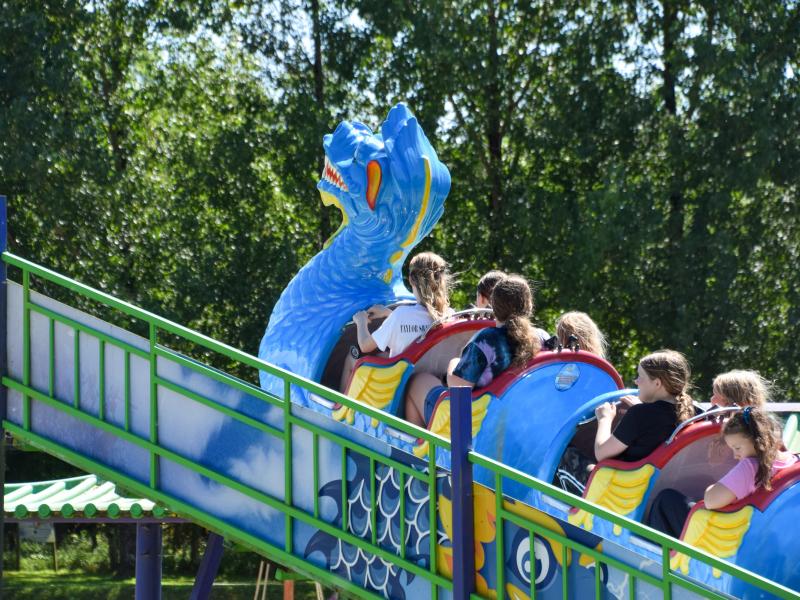 Magic Dragon