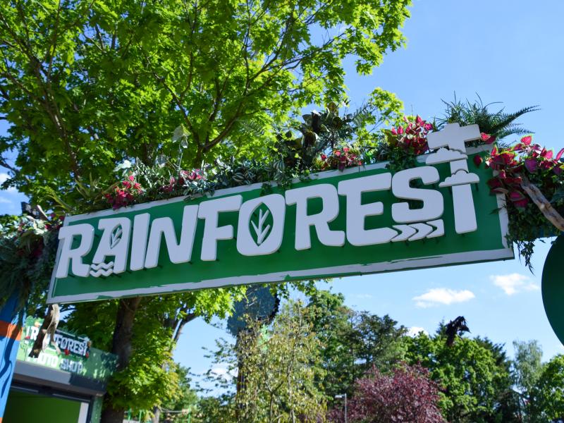 The Rainforest