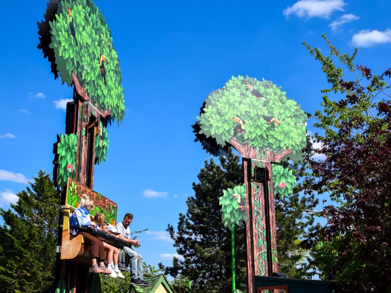 Treetop Hoppers