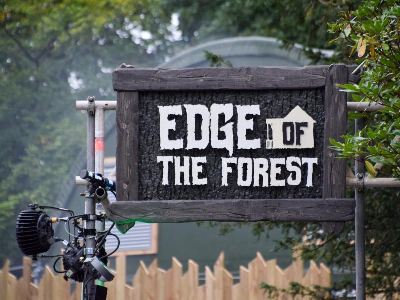 Edge of the Forest
