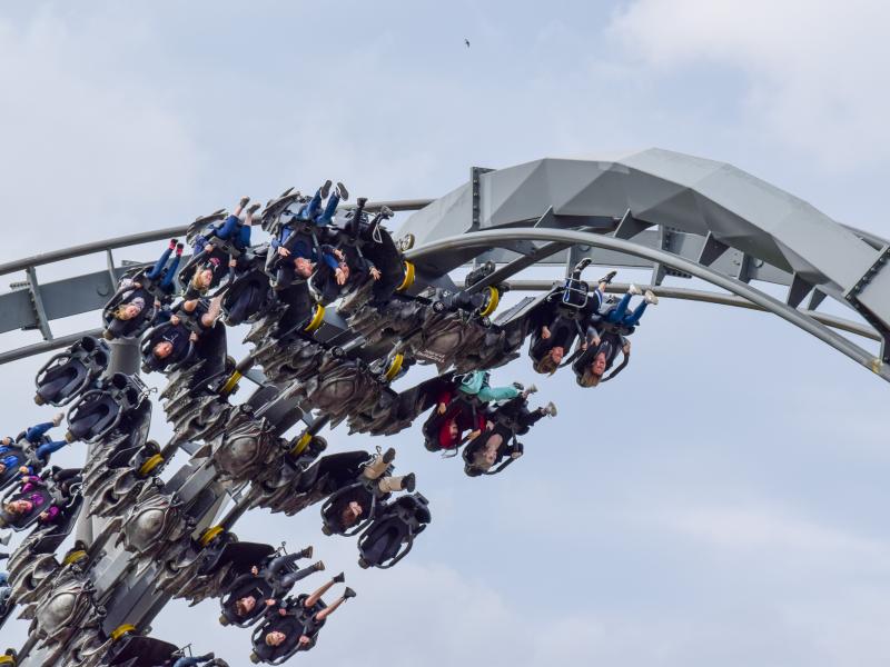 The Swarm LC12