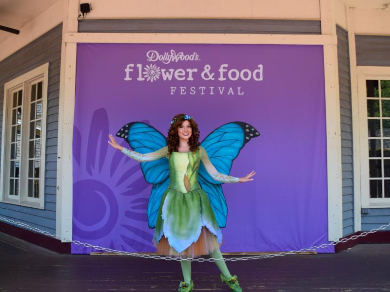 Flit and Flutter Meet and Greet
