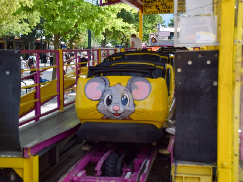 Wilde Maus