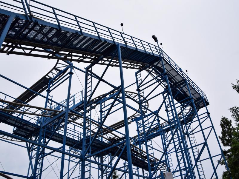 Wild Mouse