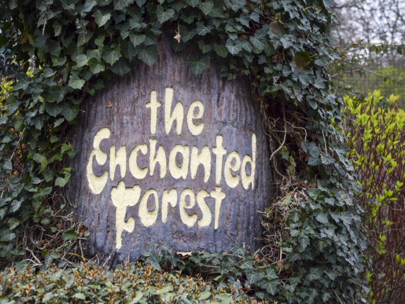The Enchanted Forest