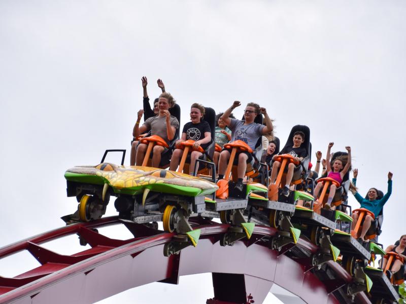 Diamondback