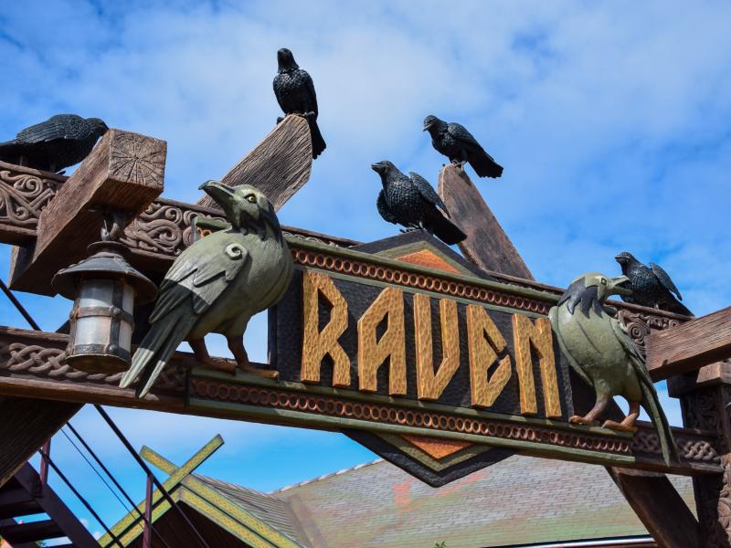 Raven