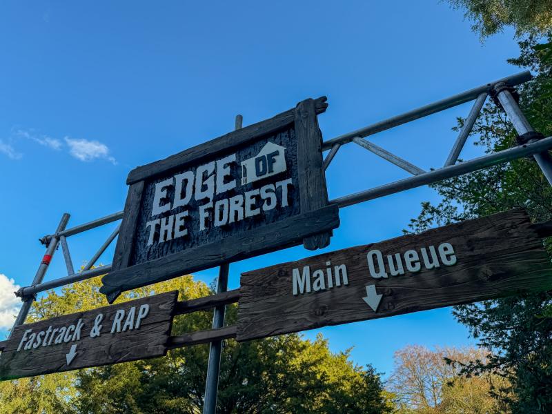 Edge of the Forest
