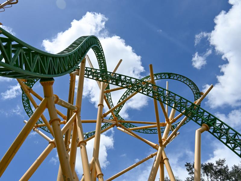 Cheetah Hunt