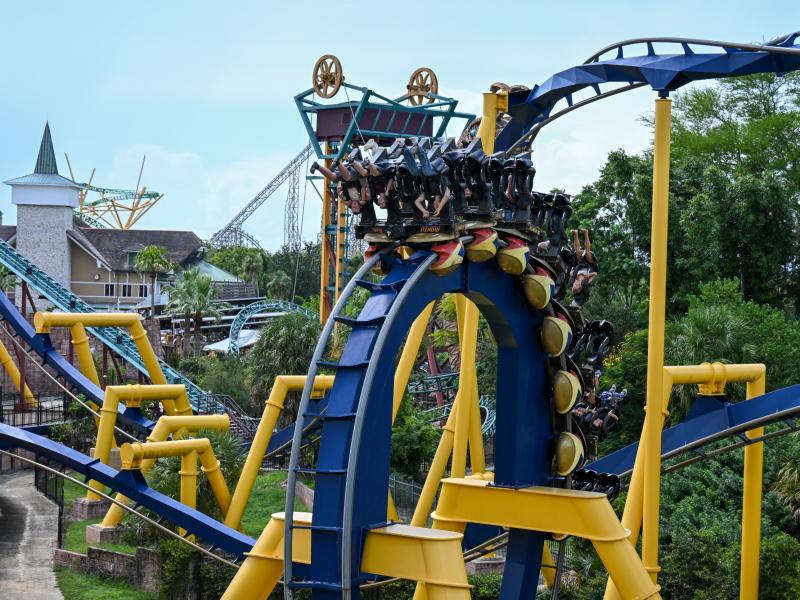 Busch Gardens Tampa Roller Coaster Insider Tour Review