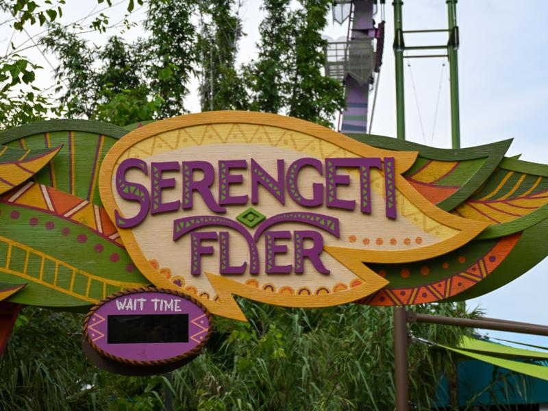 Serengeti Flyer