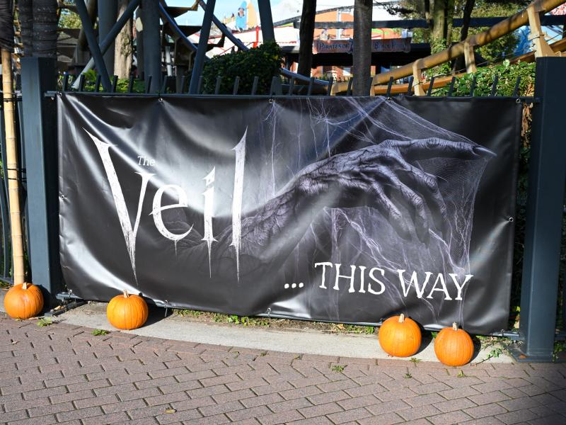 The Veil