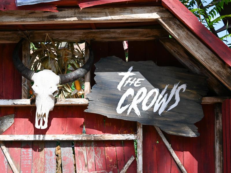 The Crows of Mawkin Meadow