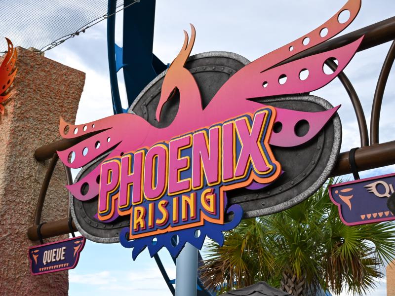 Phoenix Rising