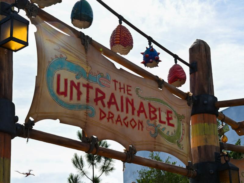 The Untrainable Dragon