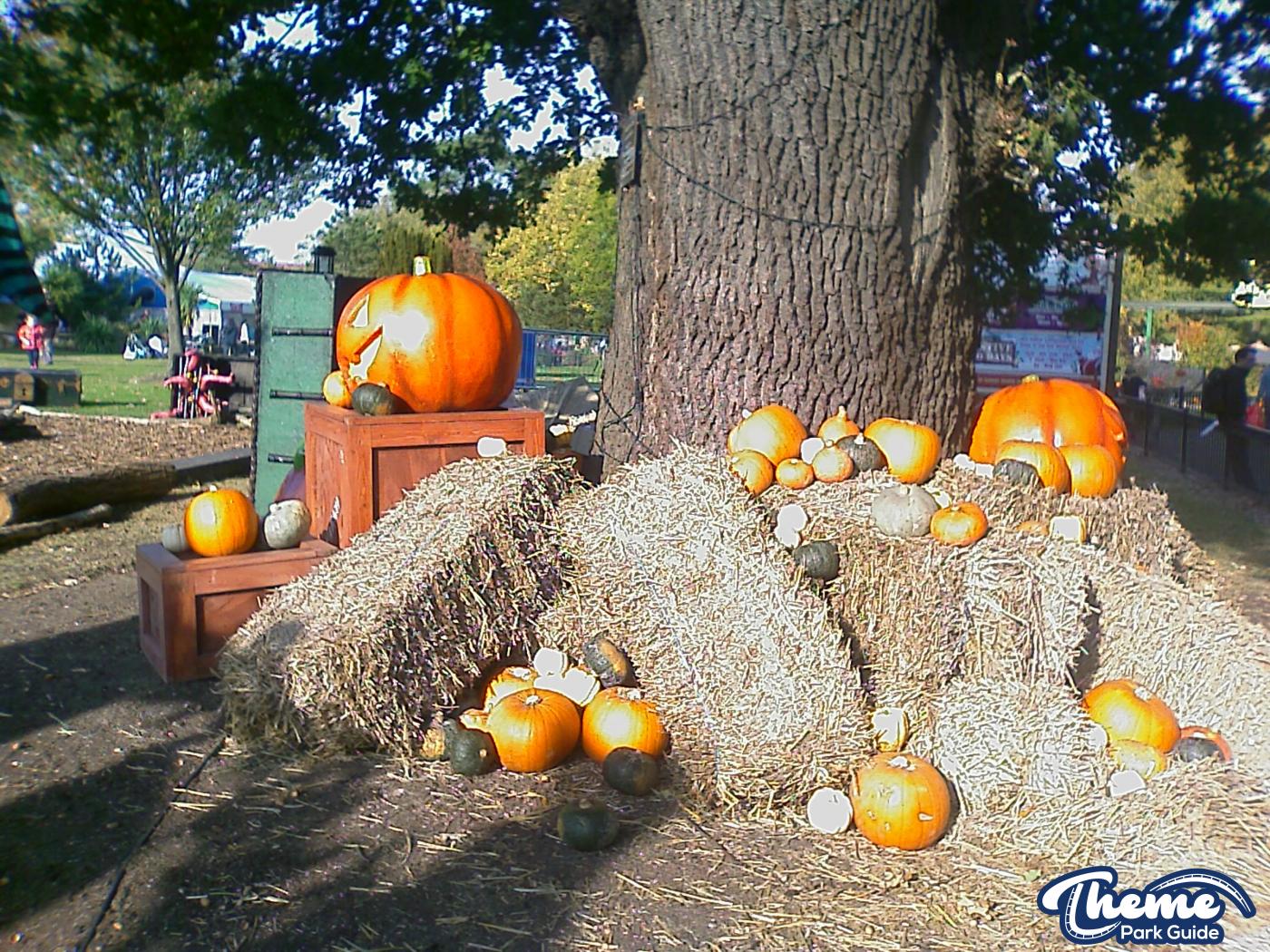 Chessington World Of Adventures - Hocus Pocus 2011