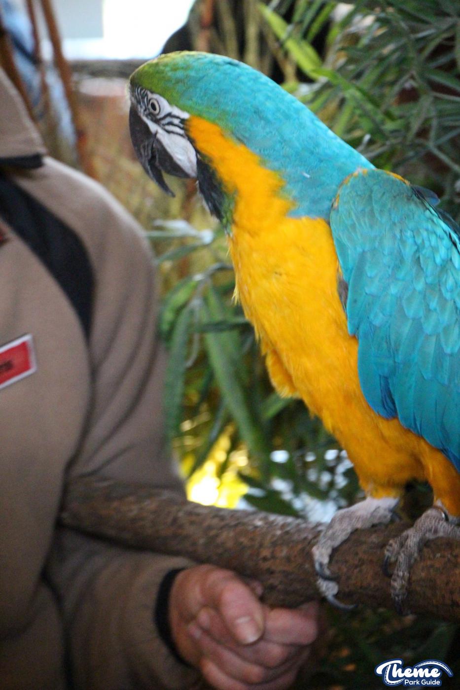 Chessington World Of Adventures - Zufari Press Launch