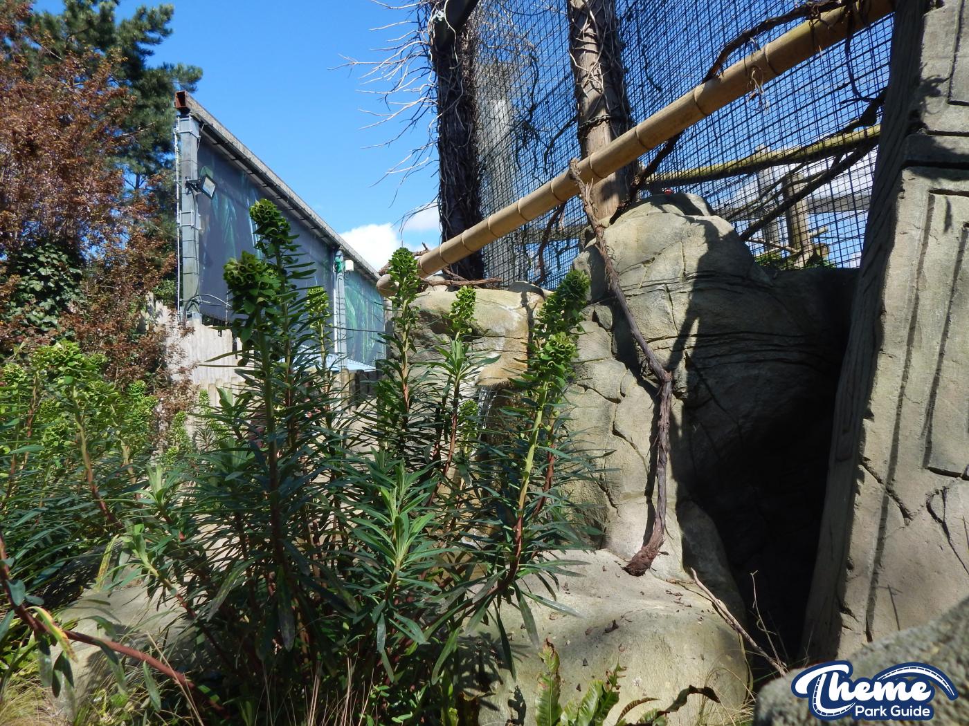Trail of the Kings - Chessington Zoo