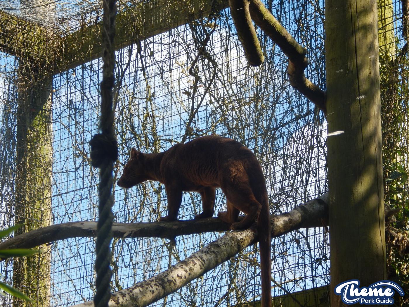 Trail of the Kings - Chessington Zoo