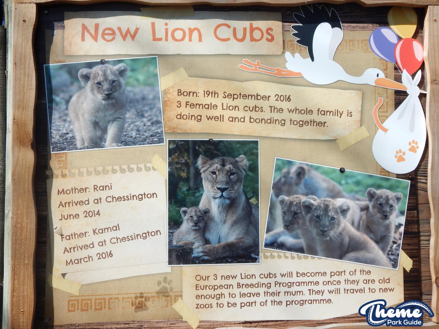 Trail of the Kings - Chessington Zoo