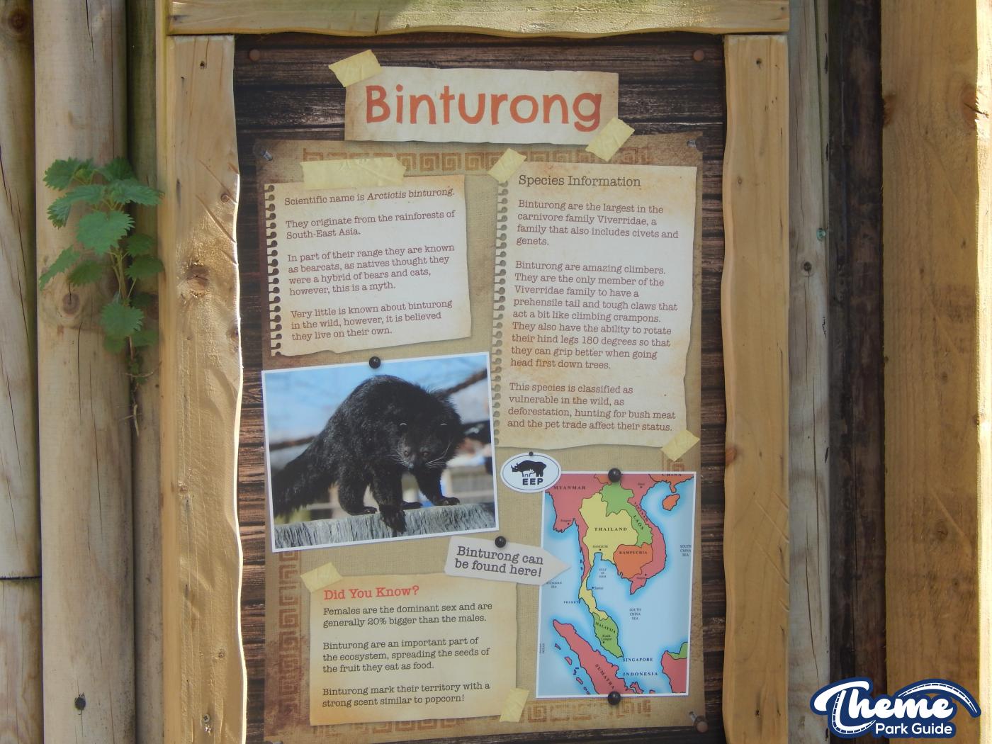 Trail of the Kings - Chessington Zoo
