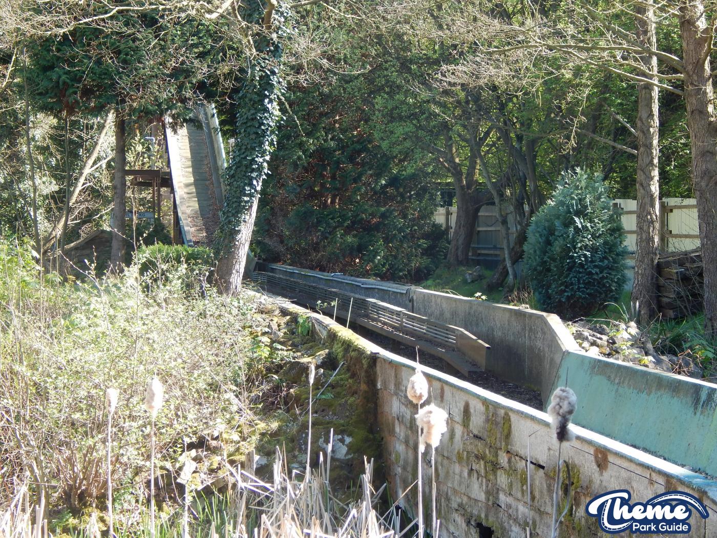 Loggers Leap Gone Or Returning