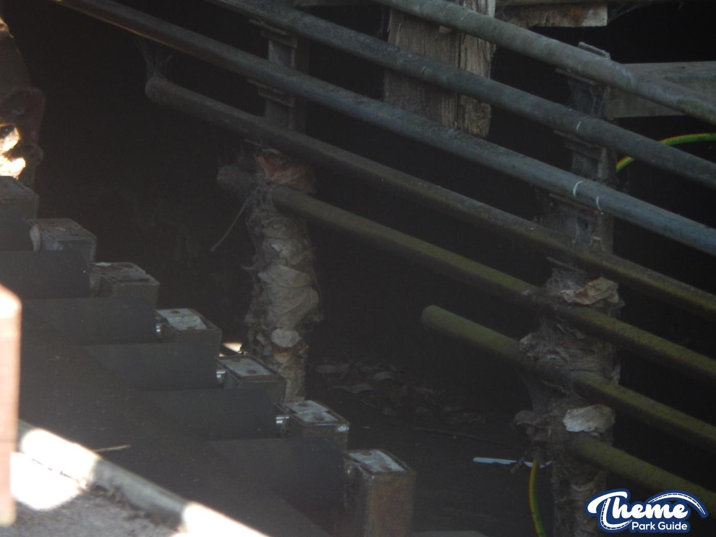 Loggers Leap Gone Or Returning