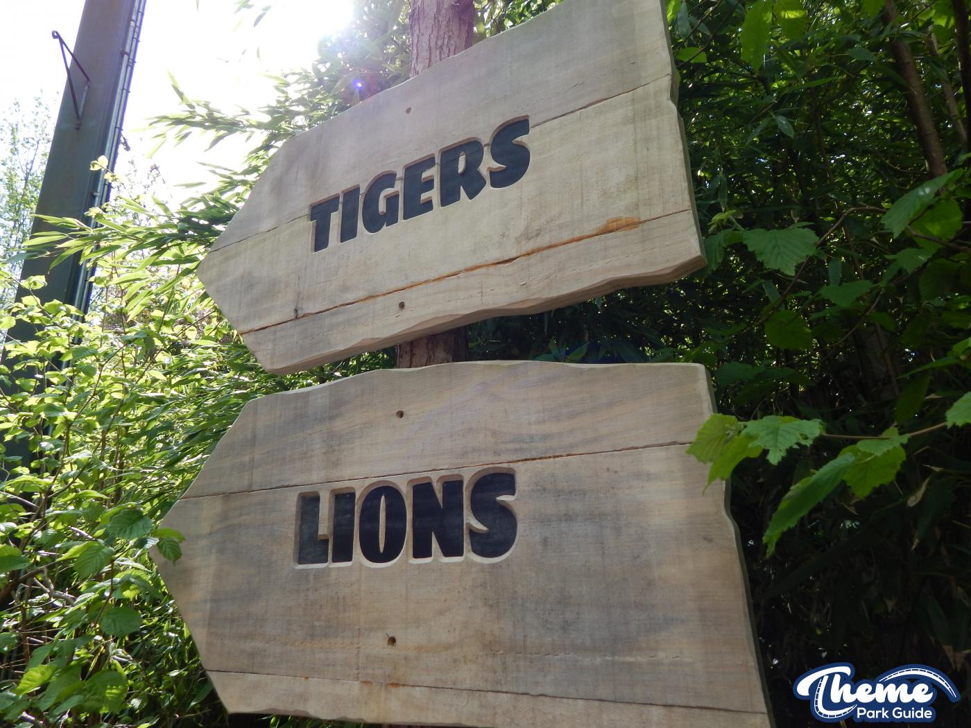 Trail of the Kings - Chessington Zoo