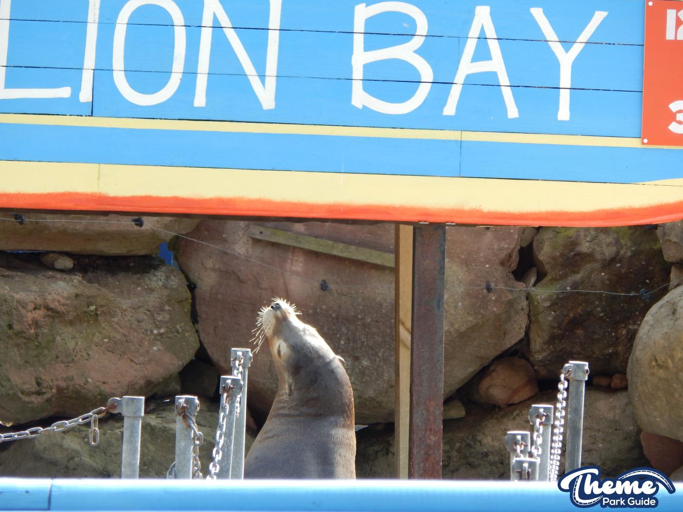 Sea Lion Bay - Chessington Zoo