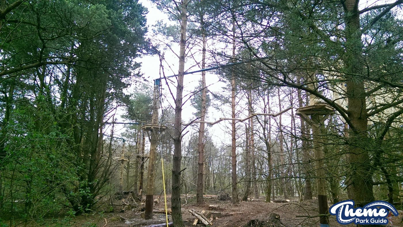 , Enchanted Forest Tree Top Quest Update