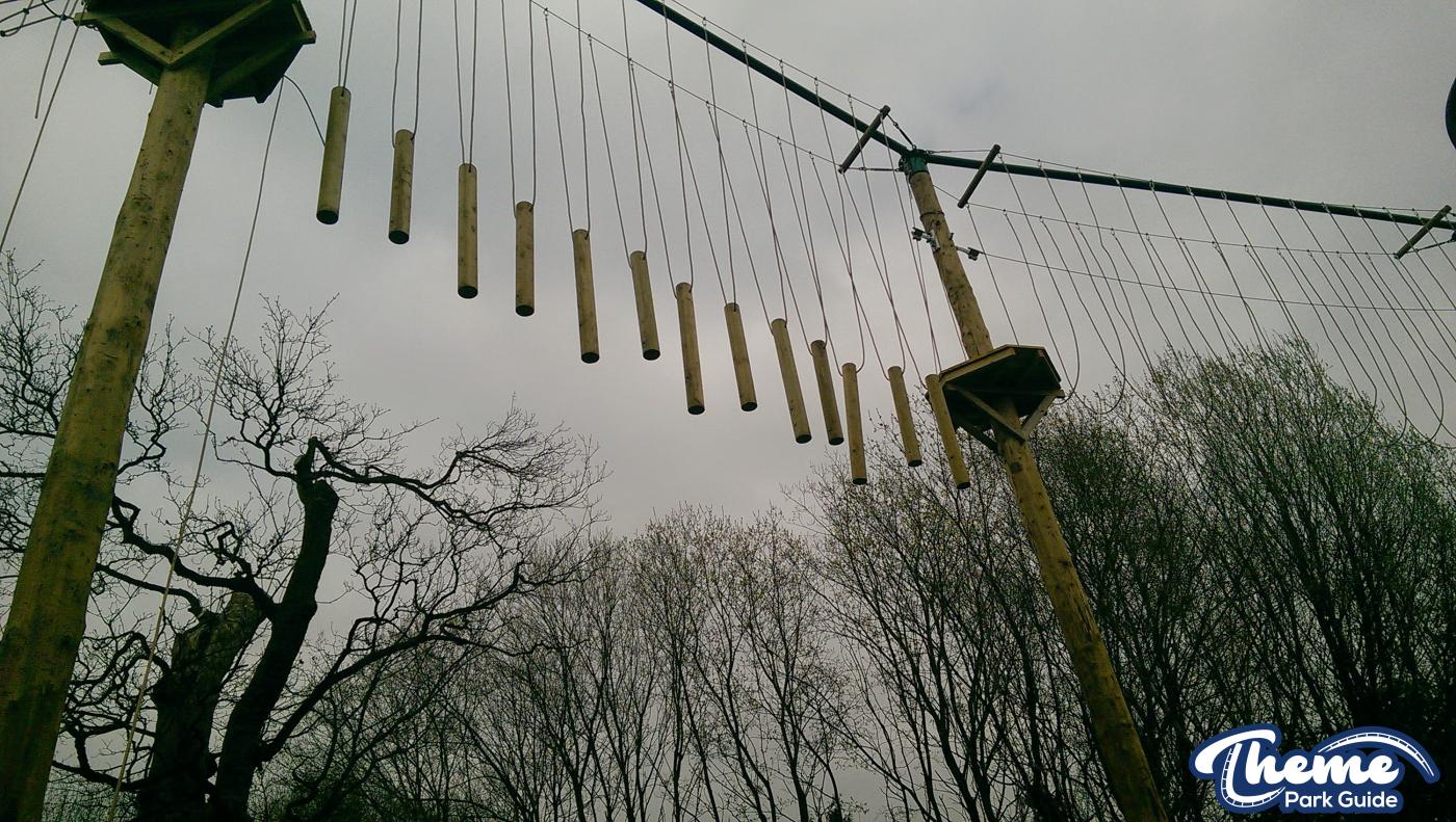 , Enchanted Forest Tree Top Quest Update